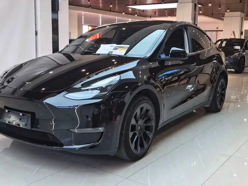 Tesla Model Y — фото 1