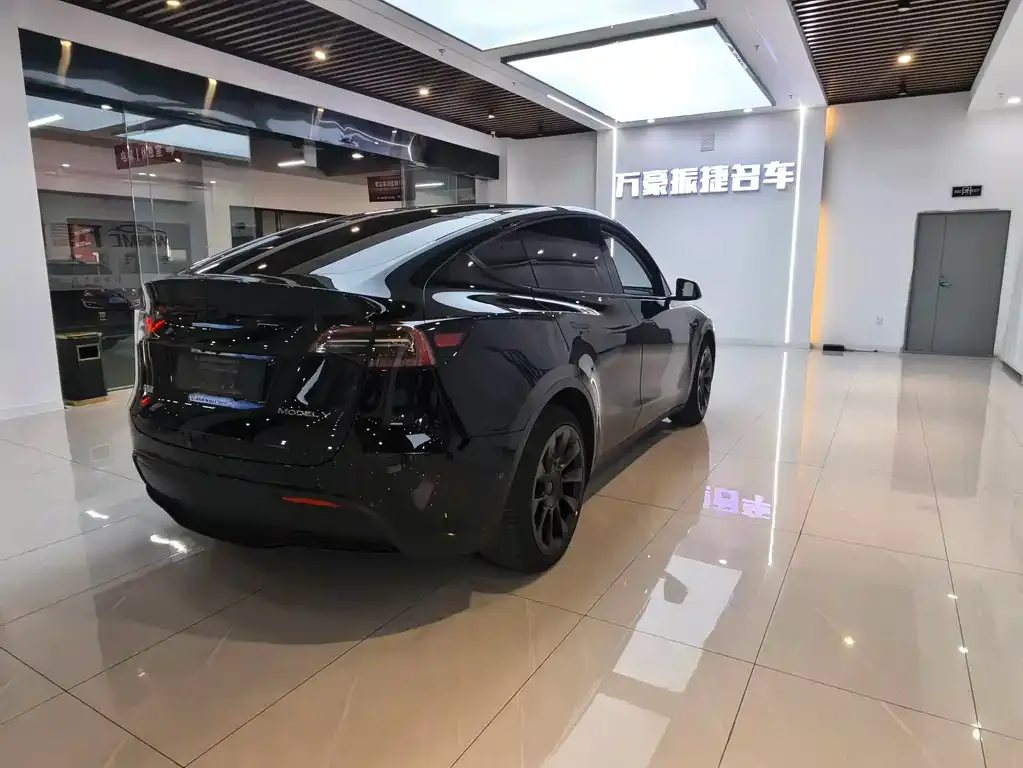 Tesla Model Y — фото 9
