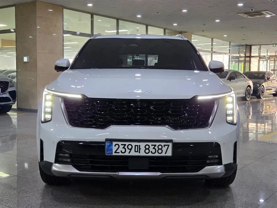 Kia Sorento — фото 8