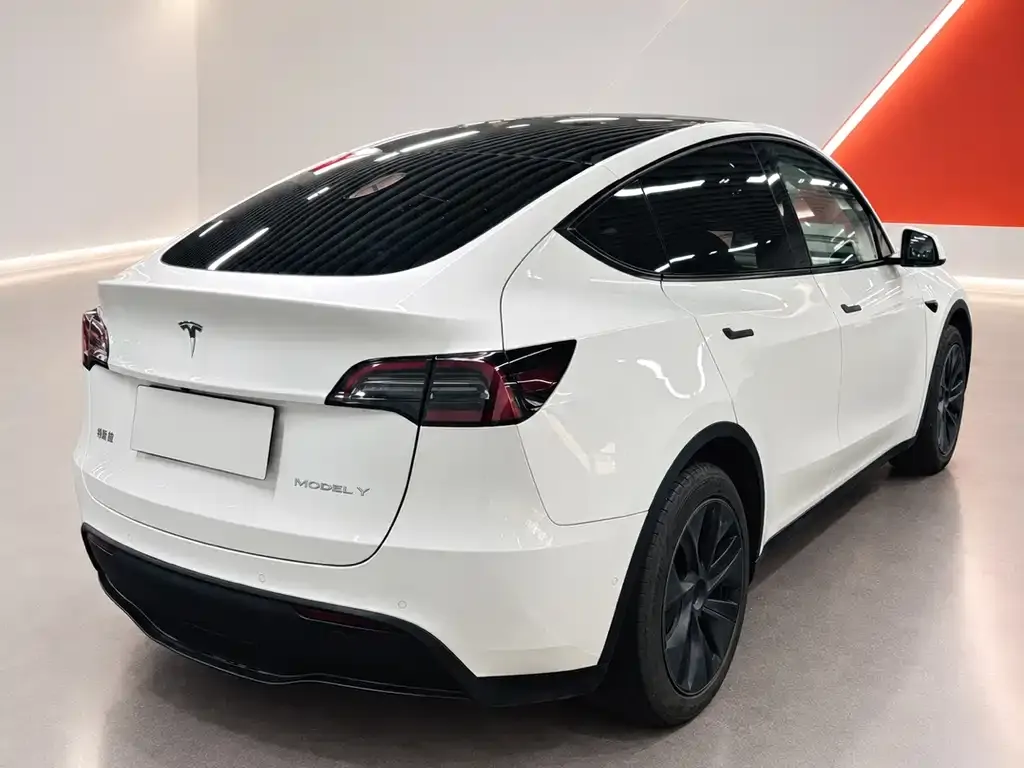 Tesla Model Y — фото 6
