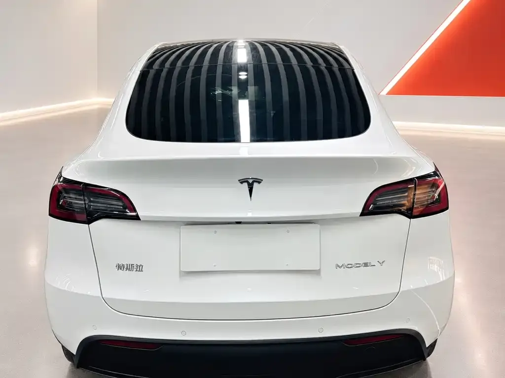 Tesla Model Y — фото 9