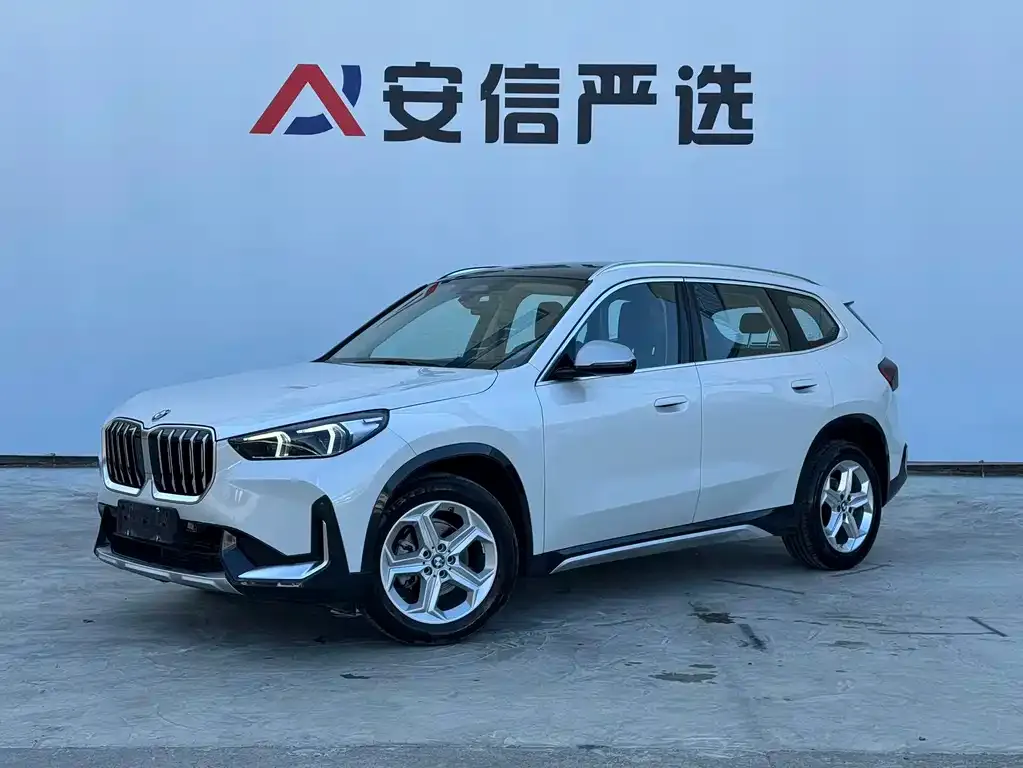 BMW X1 — фото 1