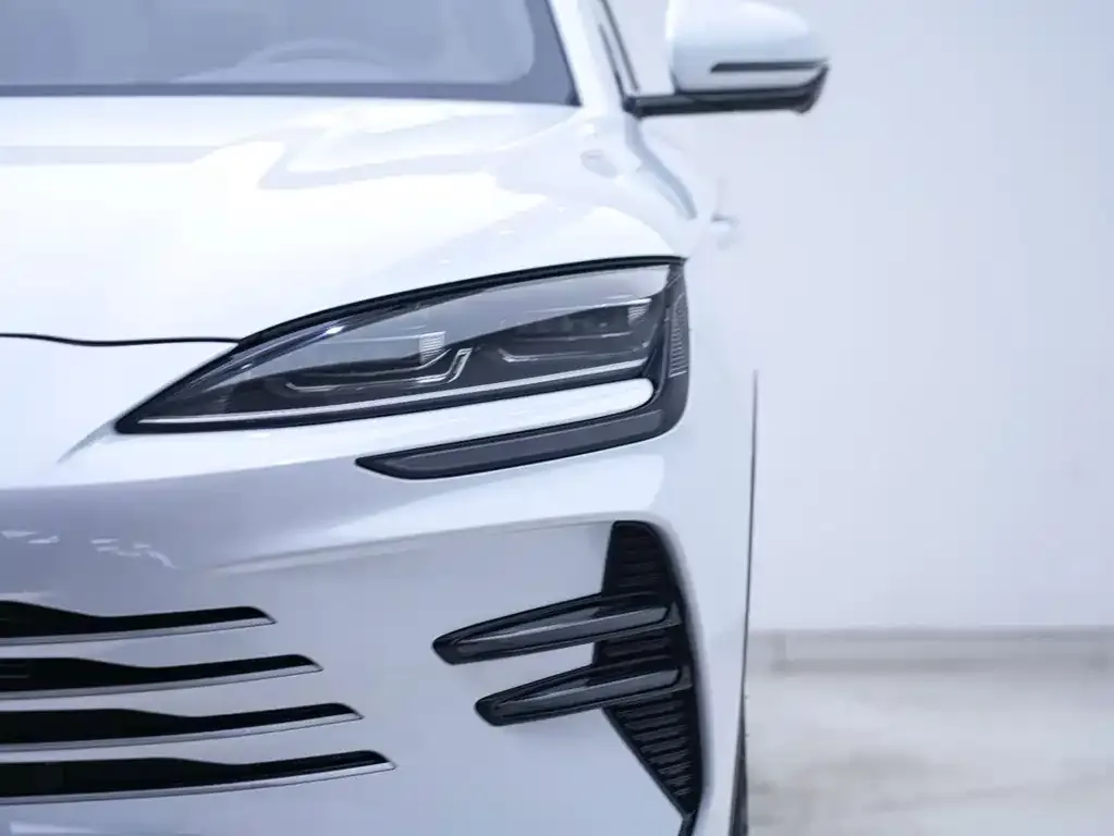 BYD PLUS New Energy — фото 3