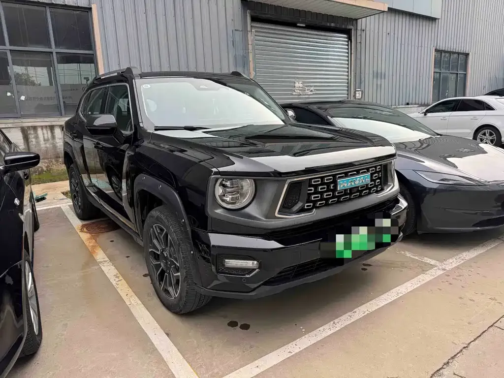 Haval Big Dog PLUS New Energy — фото 6