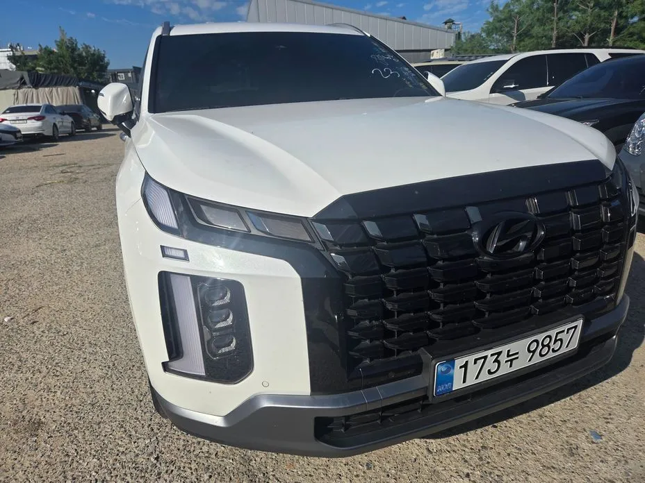 Hyundai Palisade — фото 1