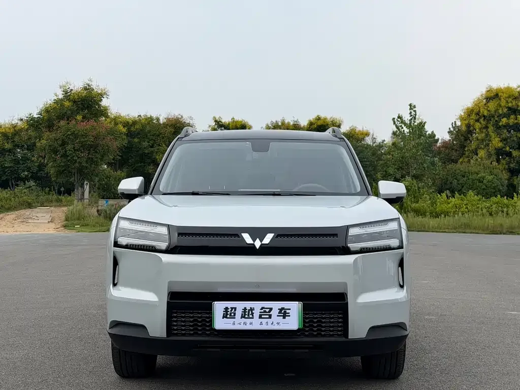 Wuling Xingguang 560 New Energy — фото 4
