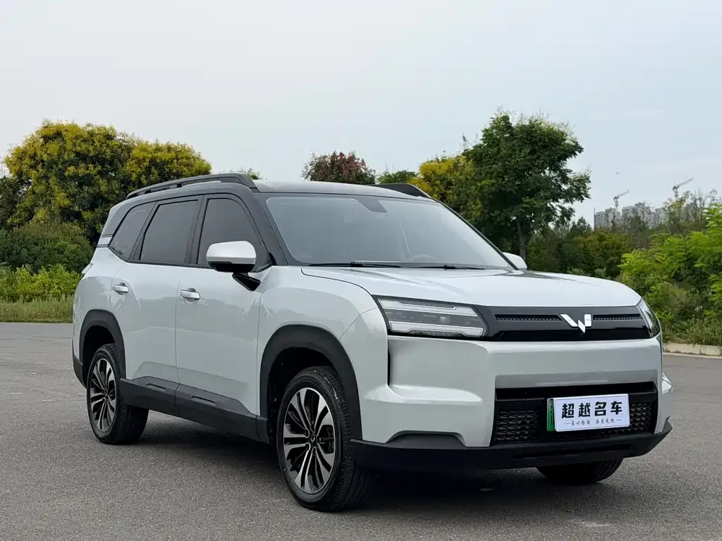 Wuling Xingguang 560 New Energy — фото 6