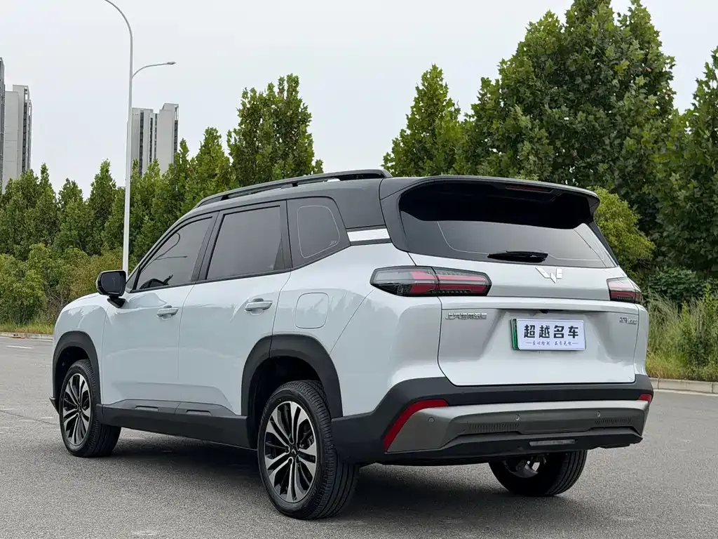 Wuling Xingguang 560 New Energy — фото 10
