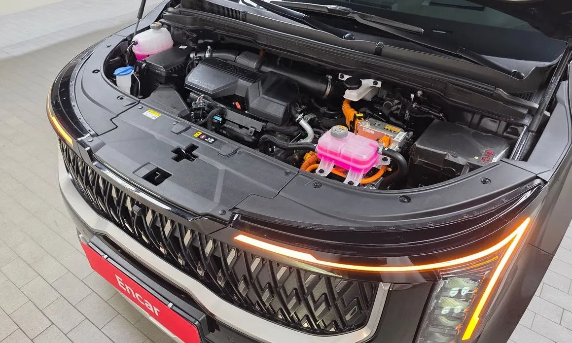 Kia Carnival — фото 10