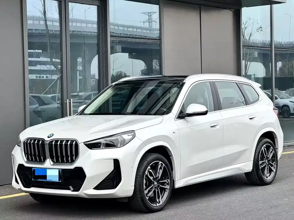 BMW X1 — фото 1