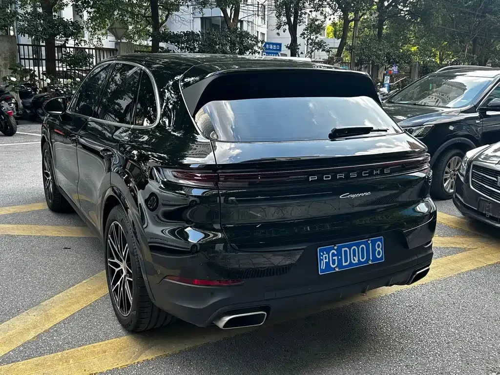 Porsche Cayenne — фото 10