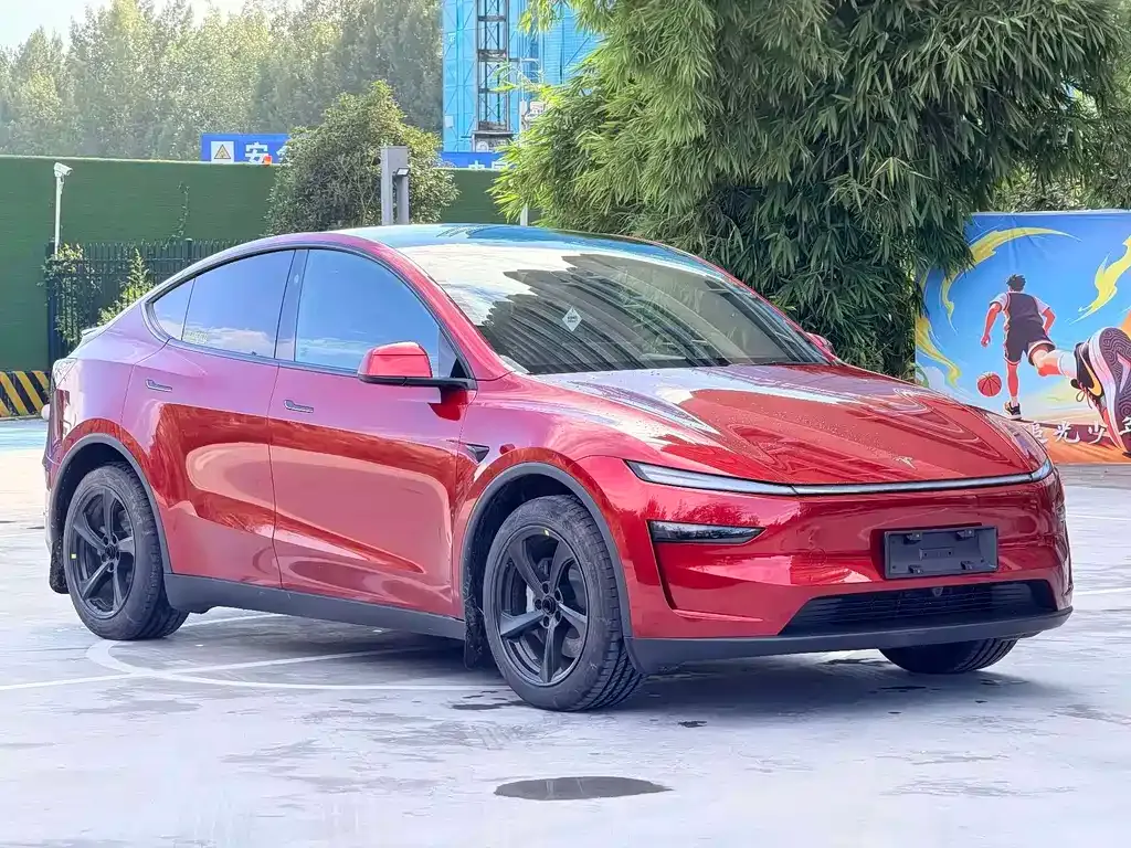 Tesla Model Y — фото 9
