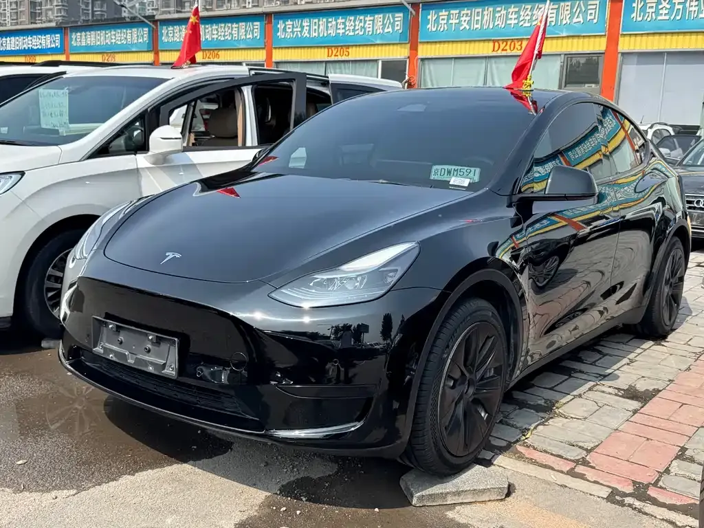 Tesla Model Y — фото 1