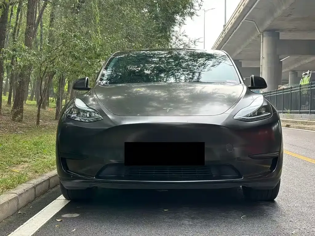 Tesla Model Y — фото 10