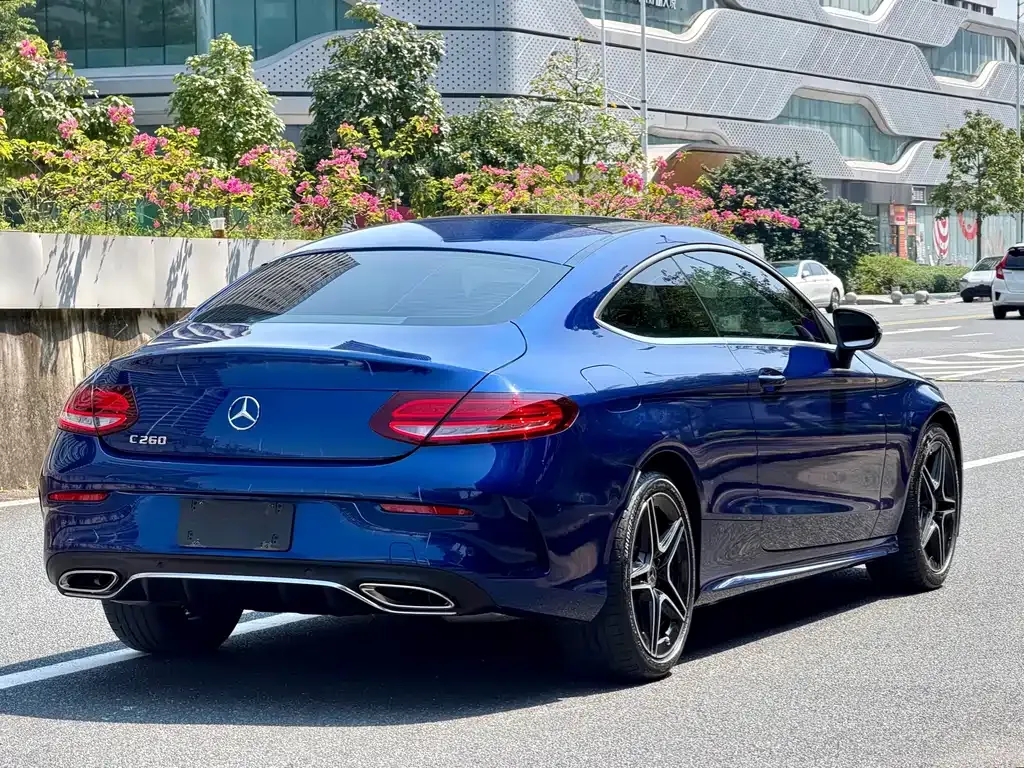 Mercedes-Benz C-Class (Import) — фото 8