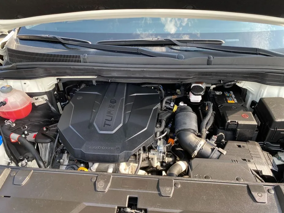 Kia Carnival — фото 10