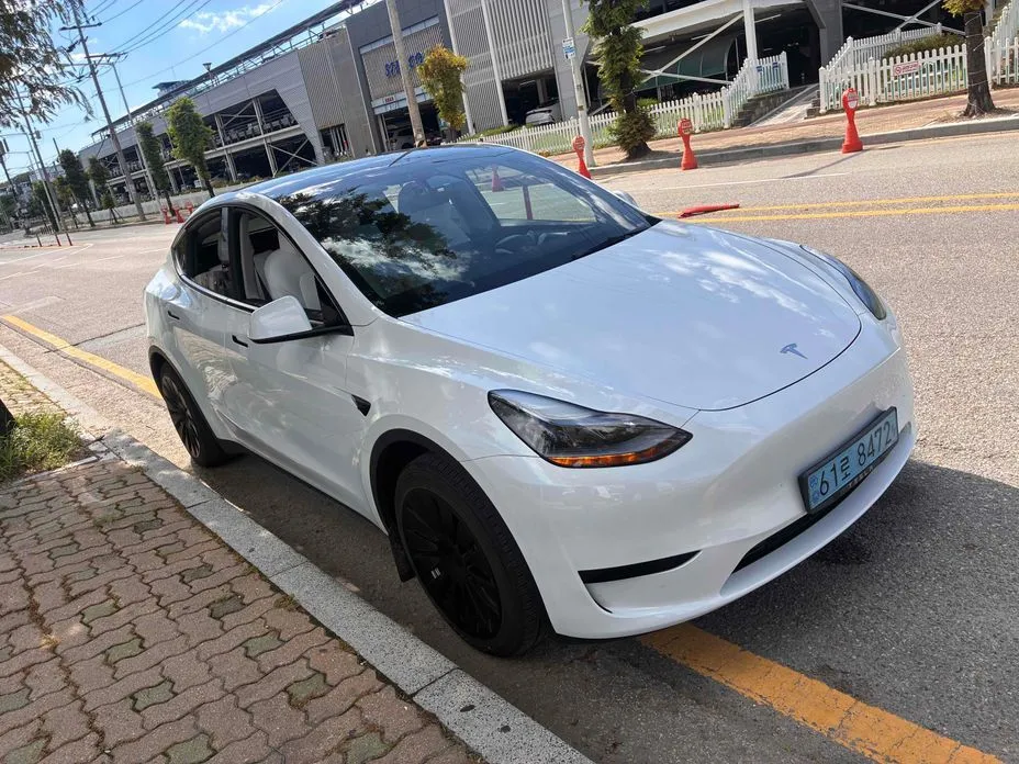 Tesla Model Y — фото 10
