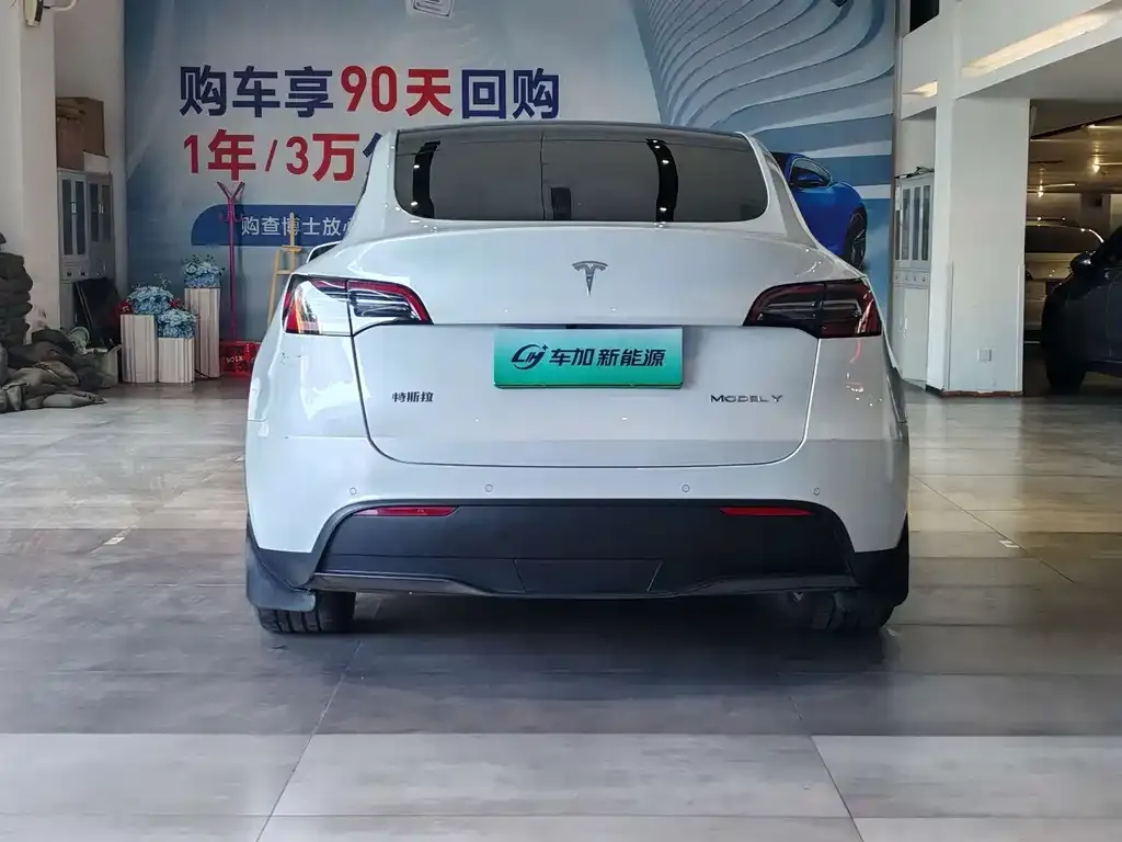 Tesla Model Y — фото 3