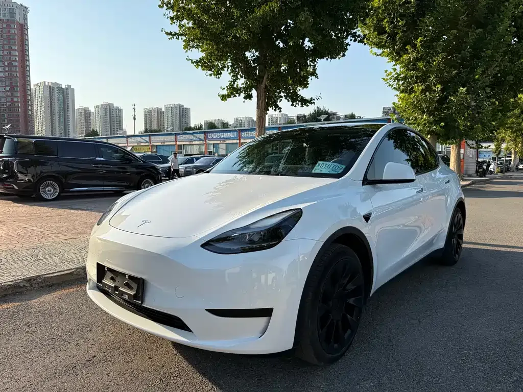 Tesla Model Y — фото 1