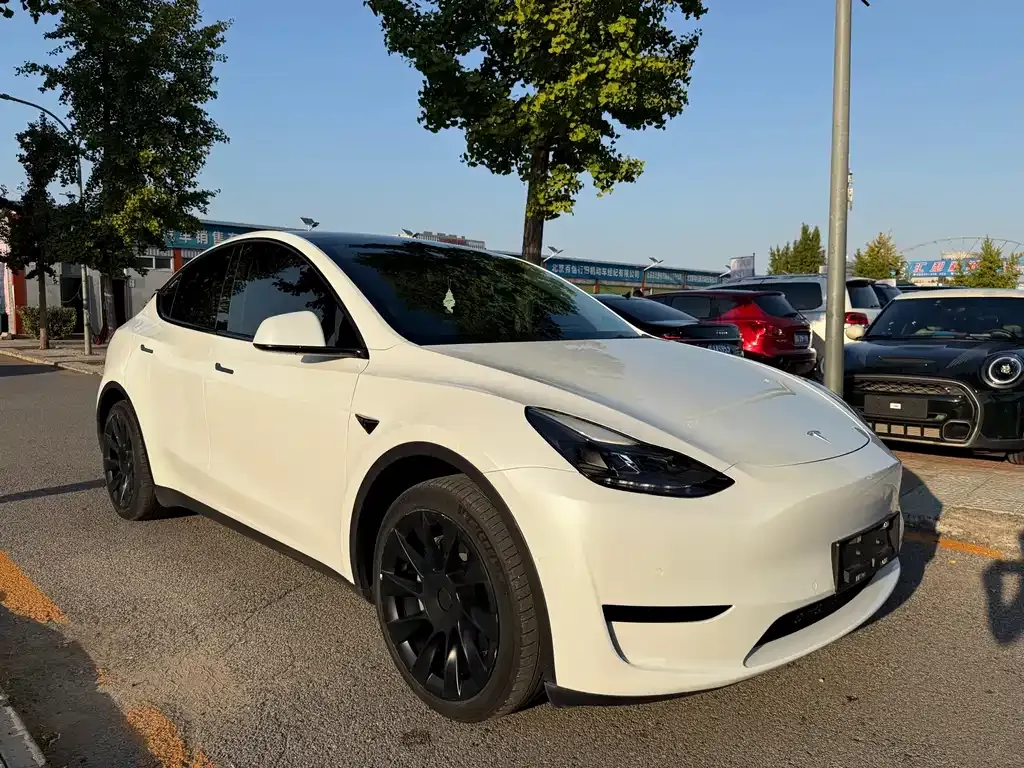 Tesla Model Y — фото 8