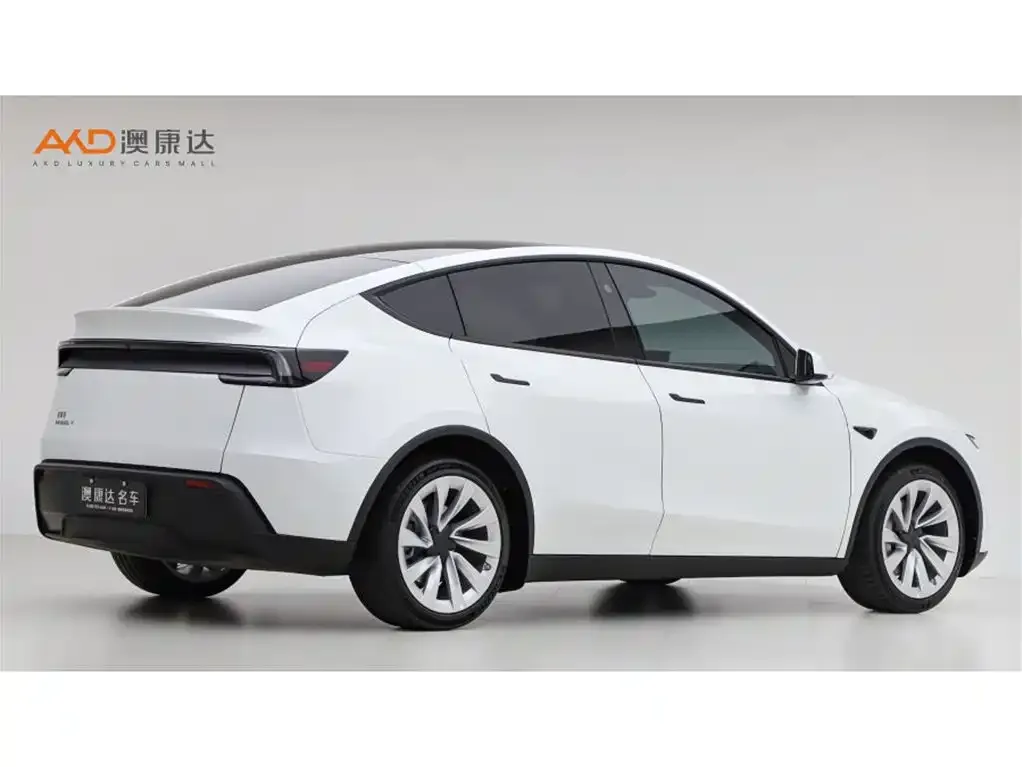 Tesla Model Y — фото 2