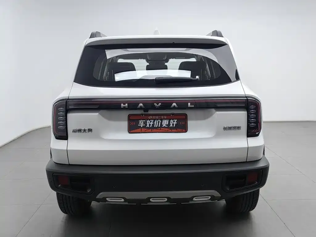 Haval Big Dog — фото 3