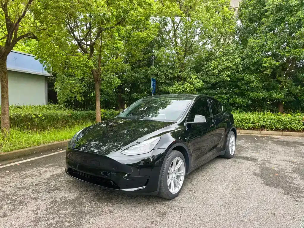 Tesla Model Y — фото 1