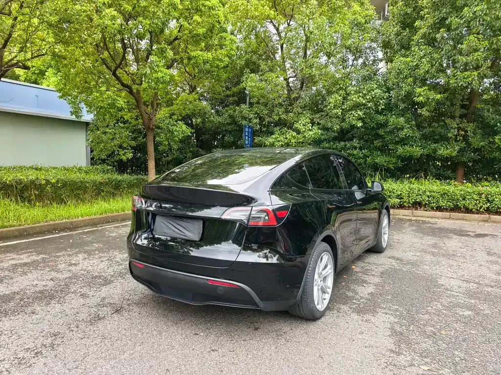 Tesla Model Y — фото 4