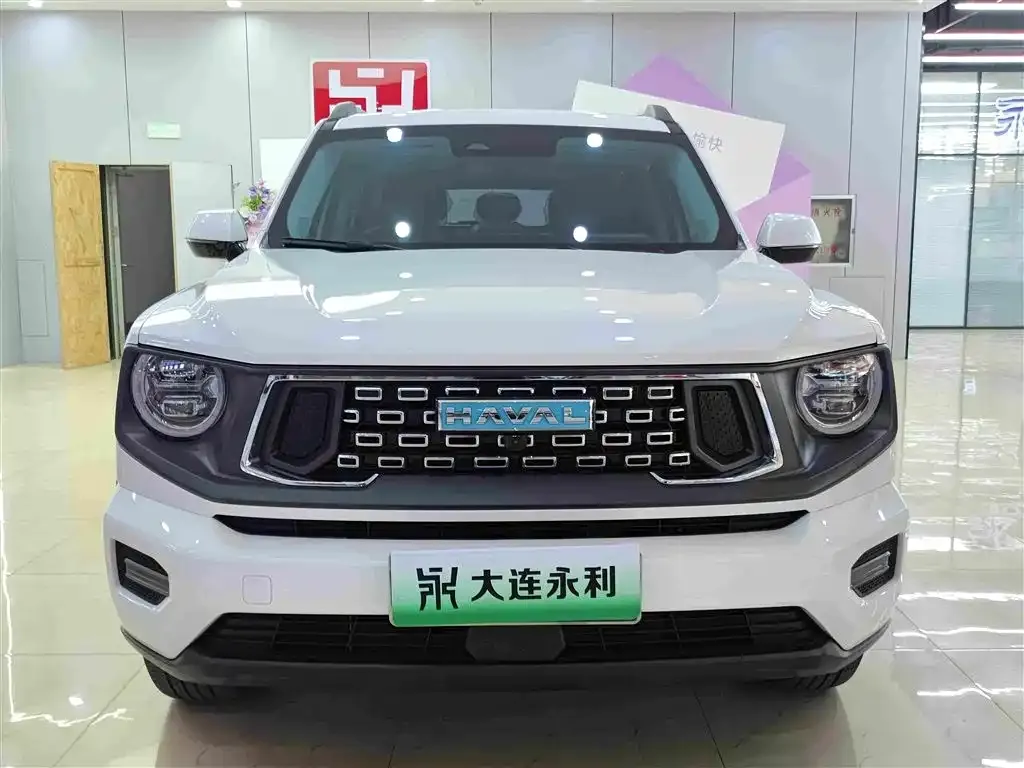 Haval Big Dog PLUS New Energy — фото 2