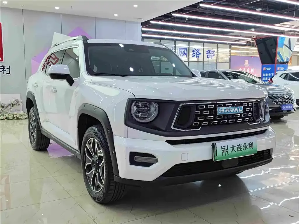 Haval Big Dog PLUS New Energy — фото 9