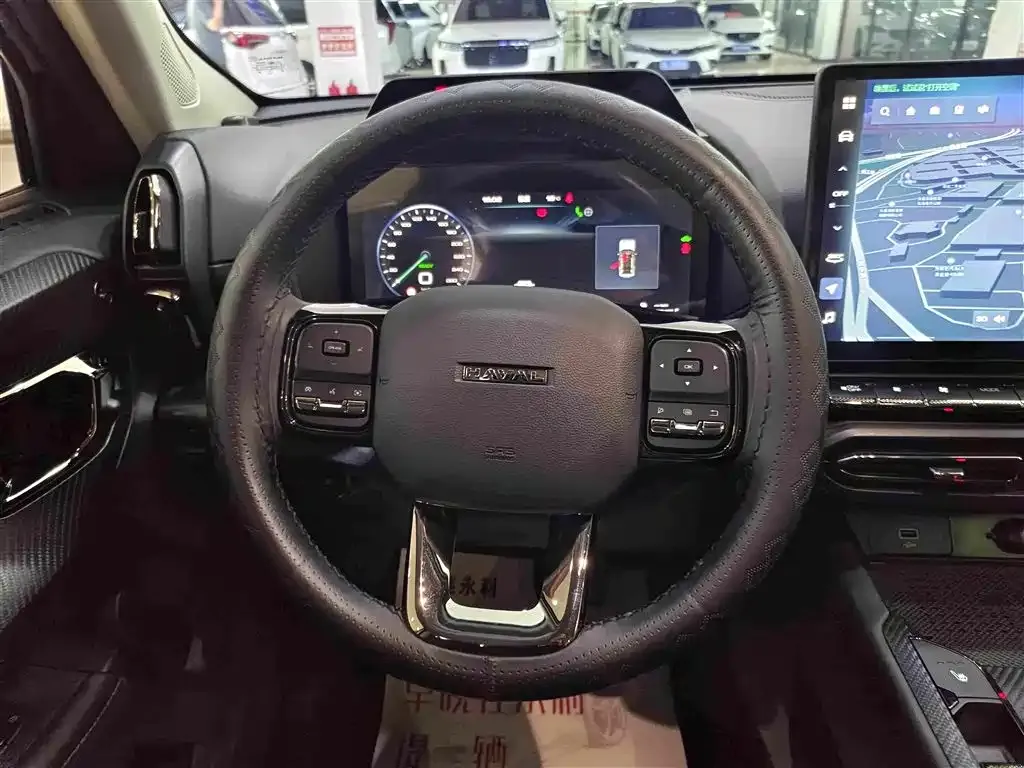 Haval Big Dog PLUS New Energy — фото 8