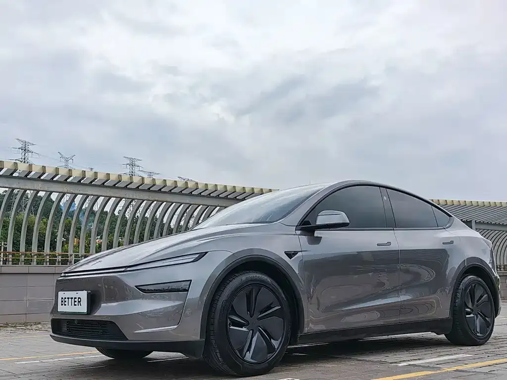 Tesla Model Y — фото 6