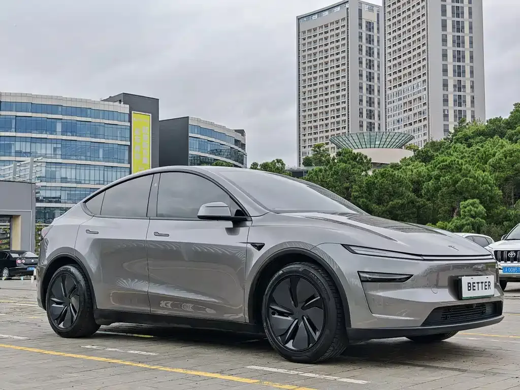 Tesla Model Y — фото 10
