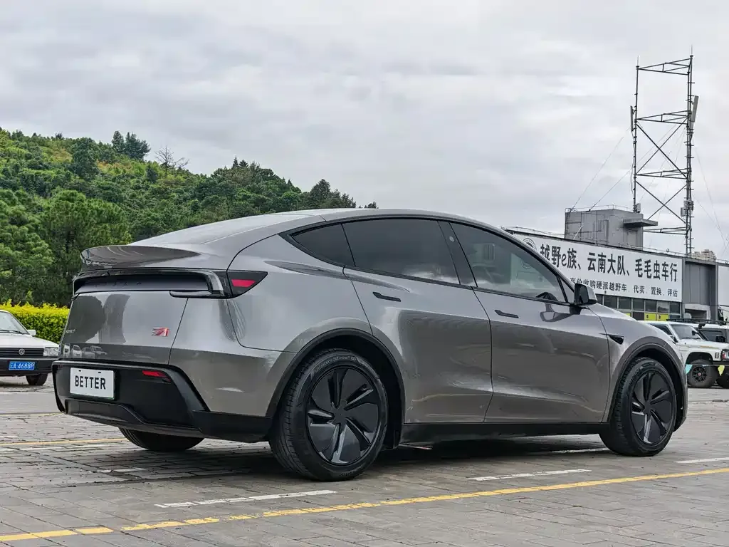 Tesla Model Y — фото 9
