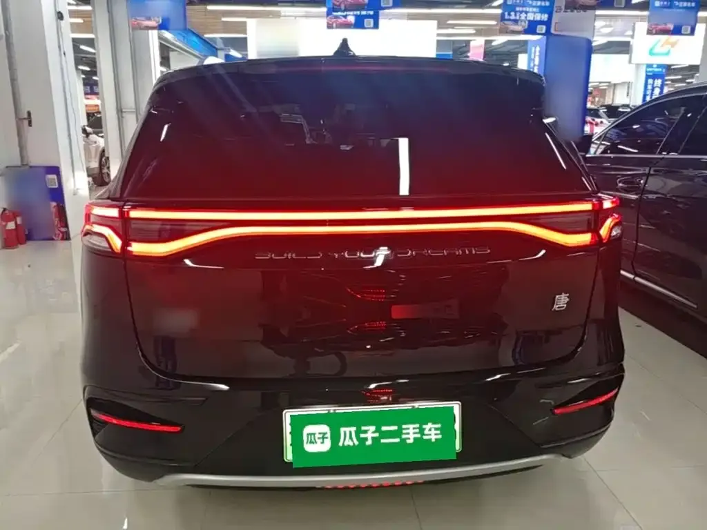 BYD Tang New Energy — фото 6