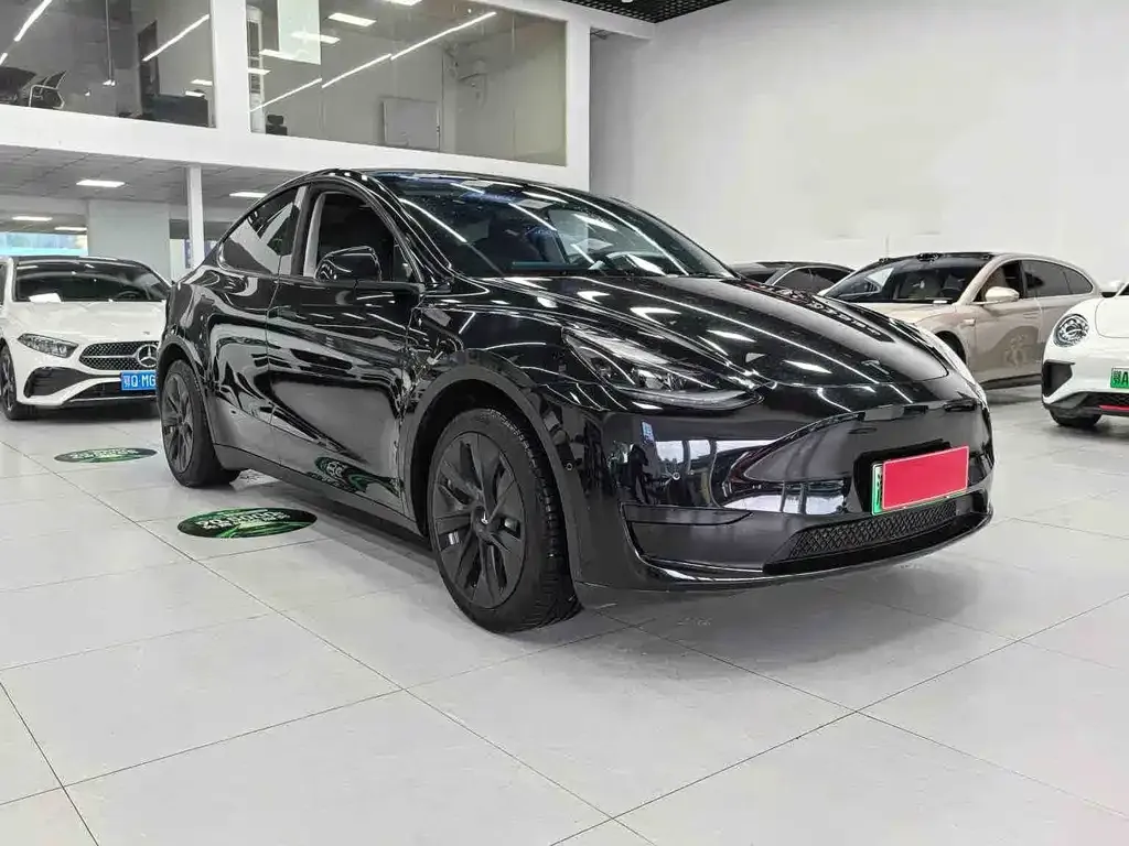 Tesla Model Y — фото 10