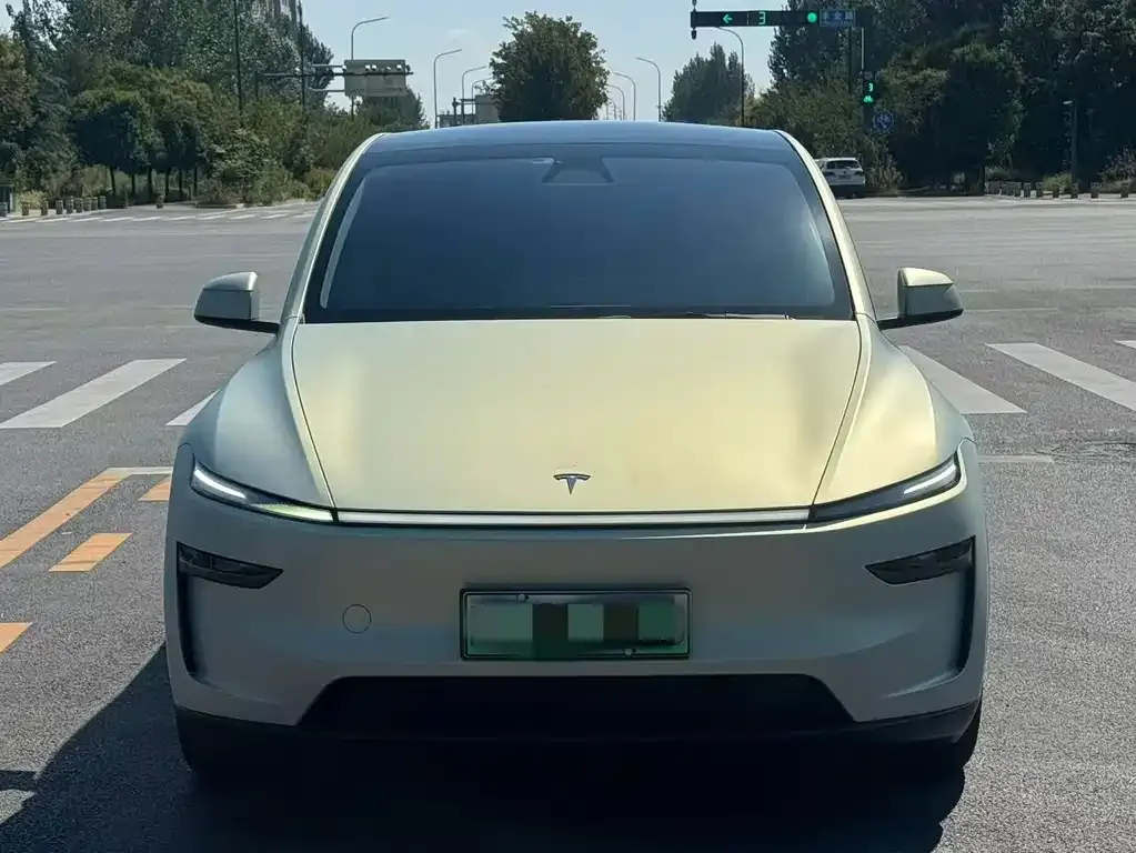 Tesla Model Y — фото 7