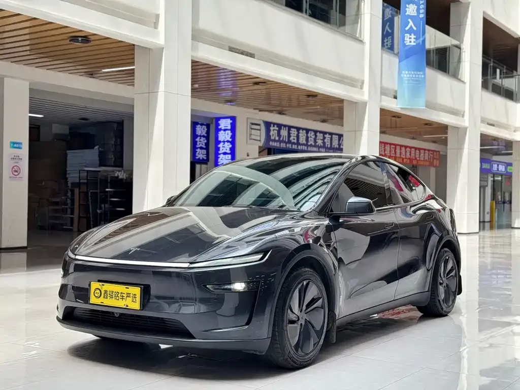 Tesla Model Y — фото 1