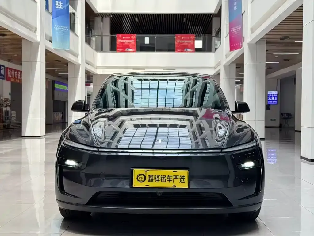 Tesla Model Y — фото 10