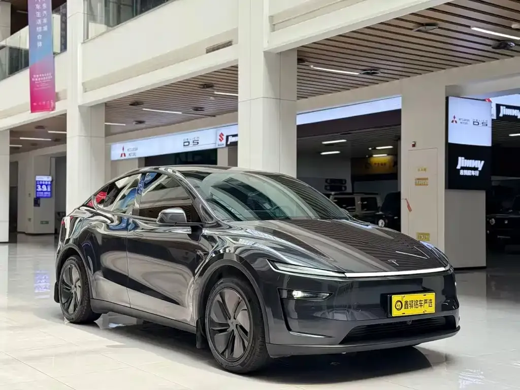 Tesla Model Y — фото 2