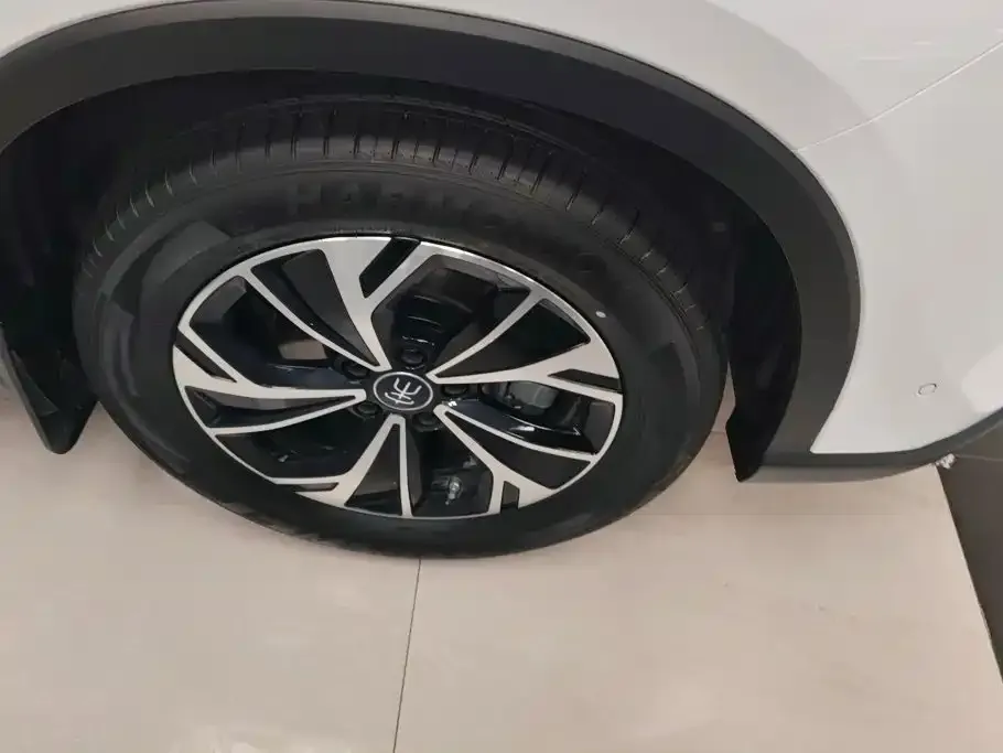 BYD Pro New Energy — фото 4