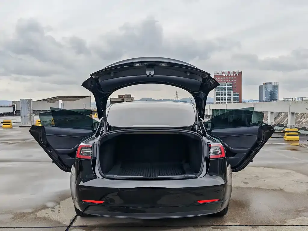 Tesla Model 3 — фото 6