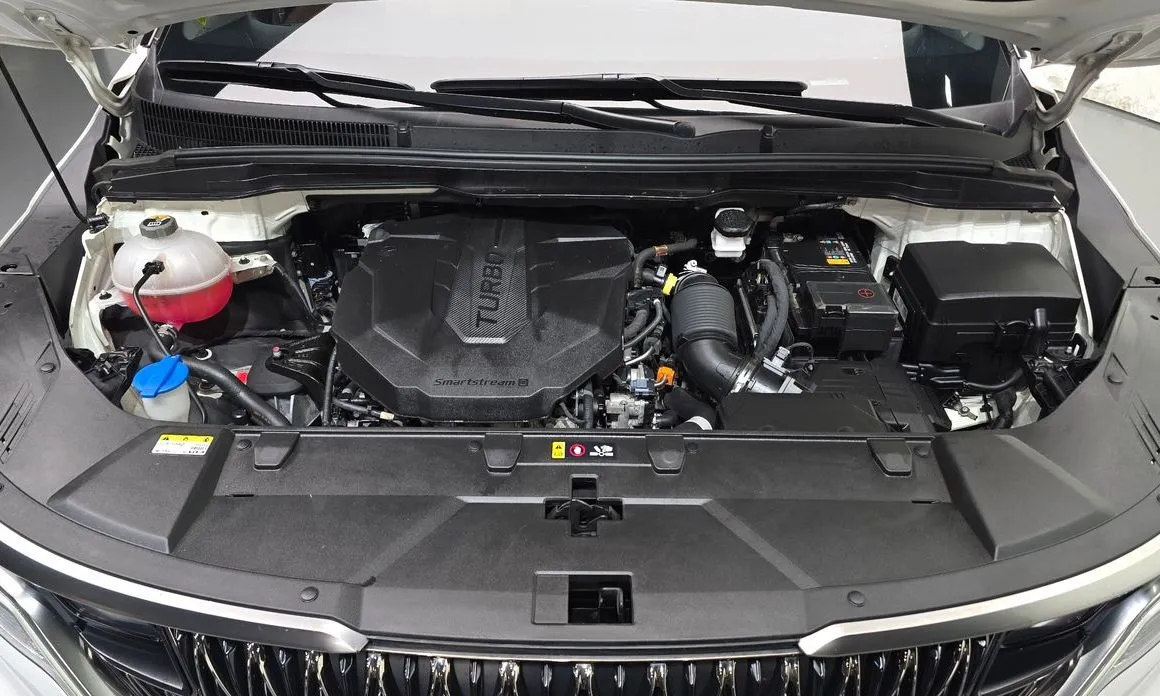Kia Carnival — фото 10