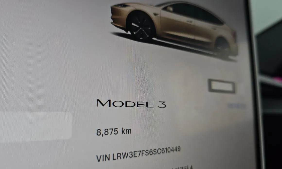 Tesla Model 3 — фото 4