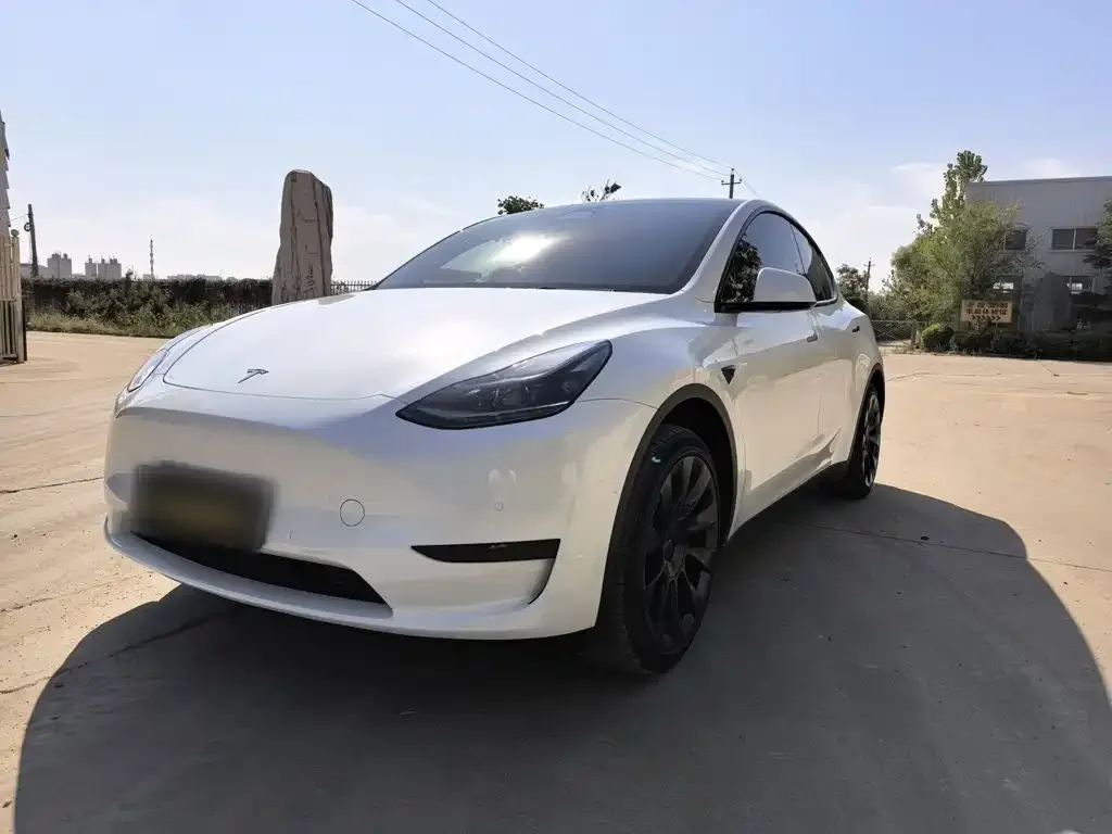 Tesla Model Y — фото 3
