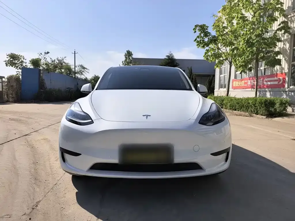 Tesla Model Y — фото 10