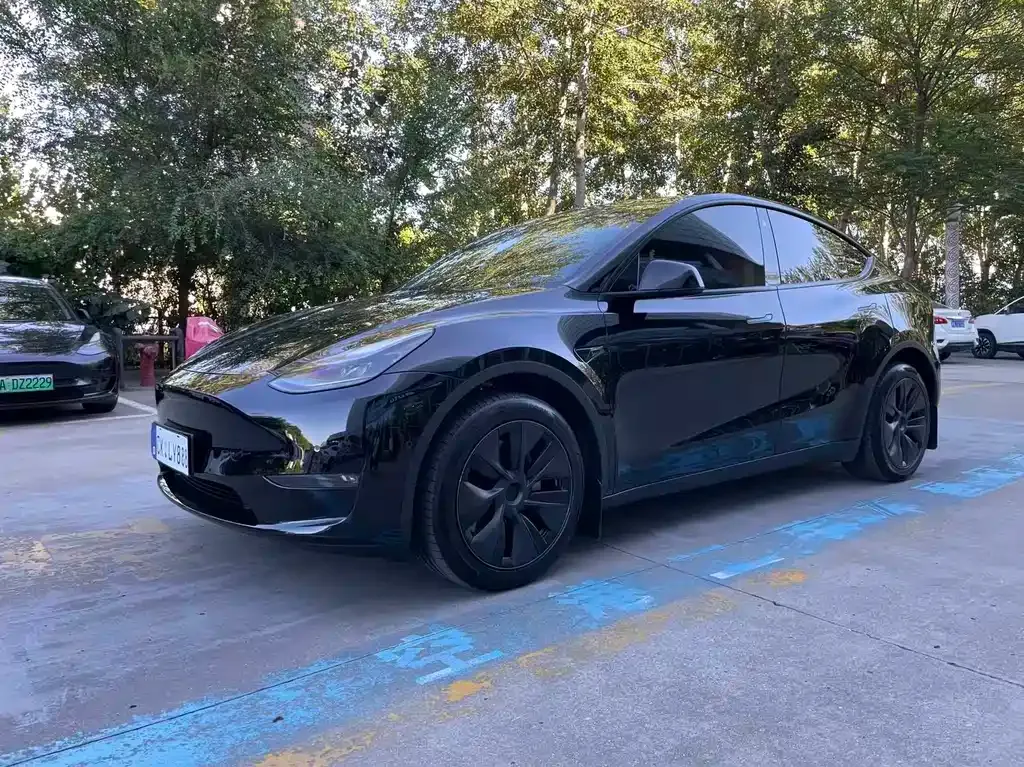Tesla Model Y — фото 1
