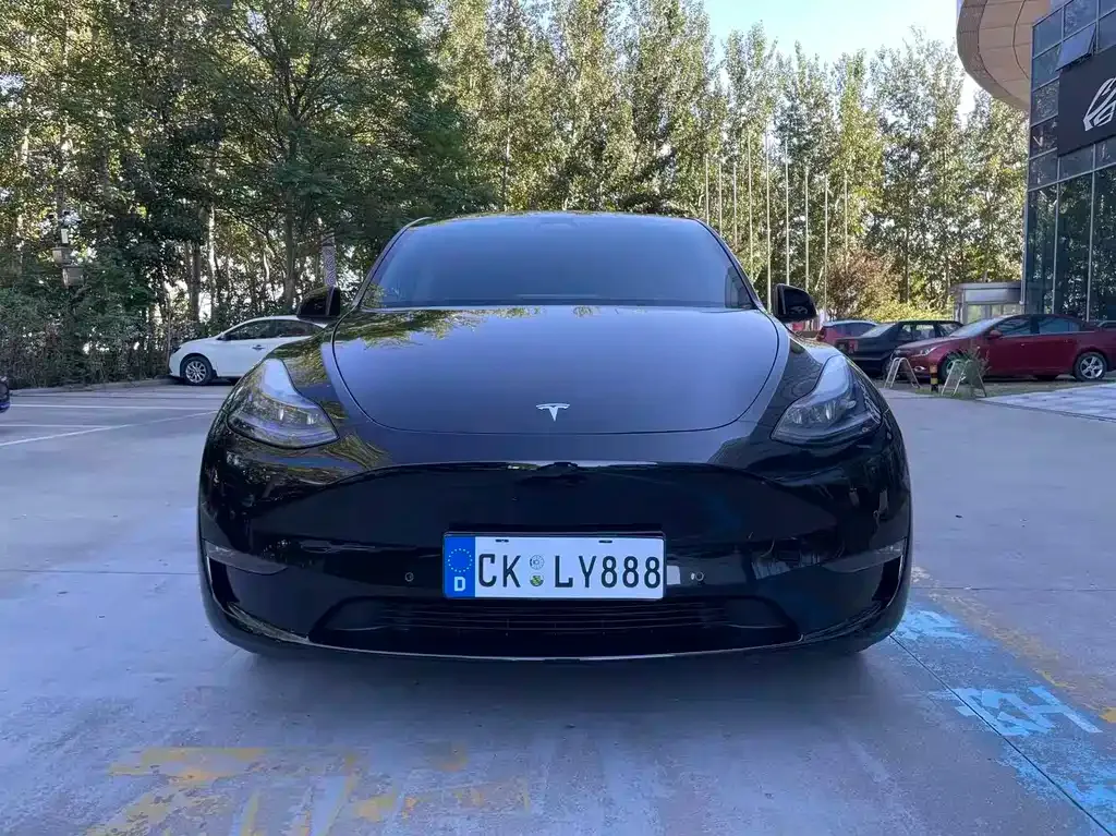 Tesla Model Y — фото 9