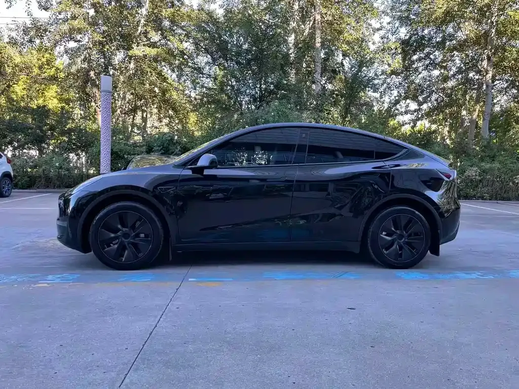 Tesla Model Y — фото 5