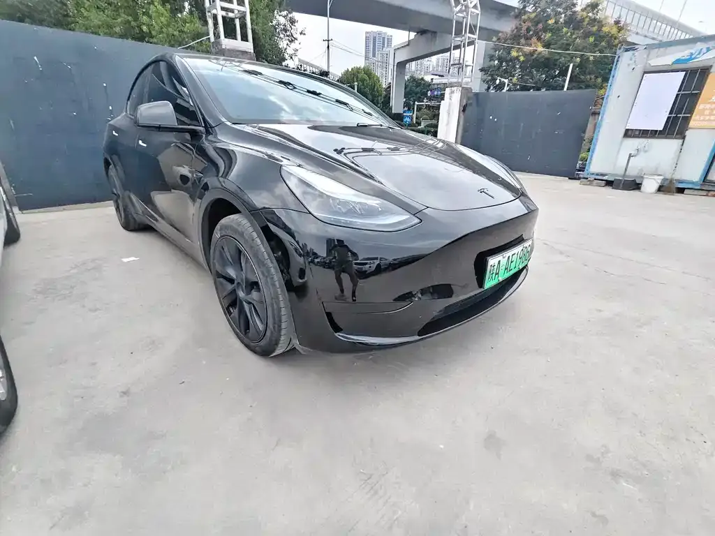 Tesla Model Y — фото 5